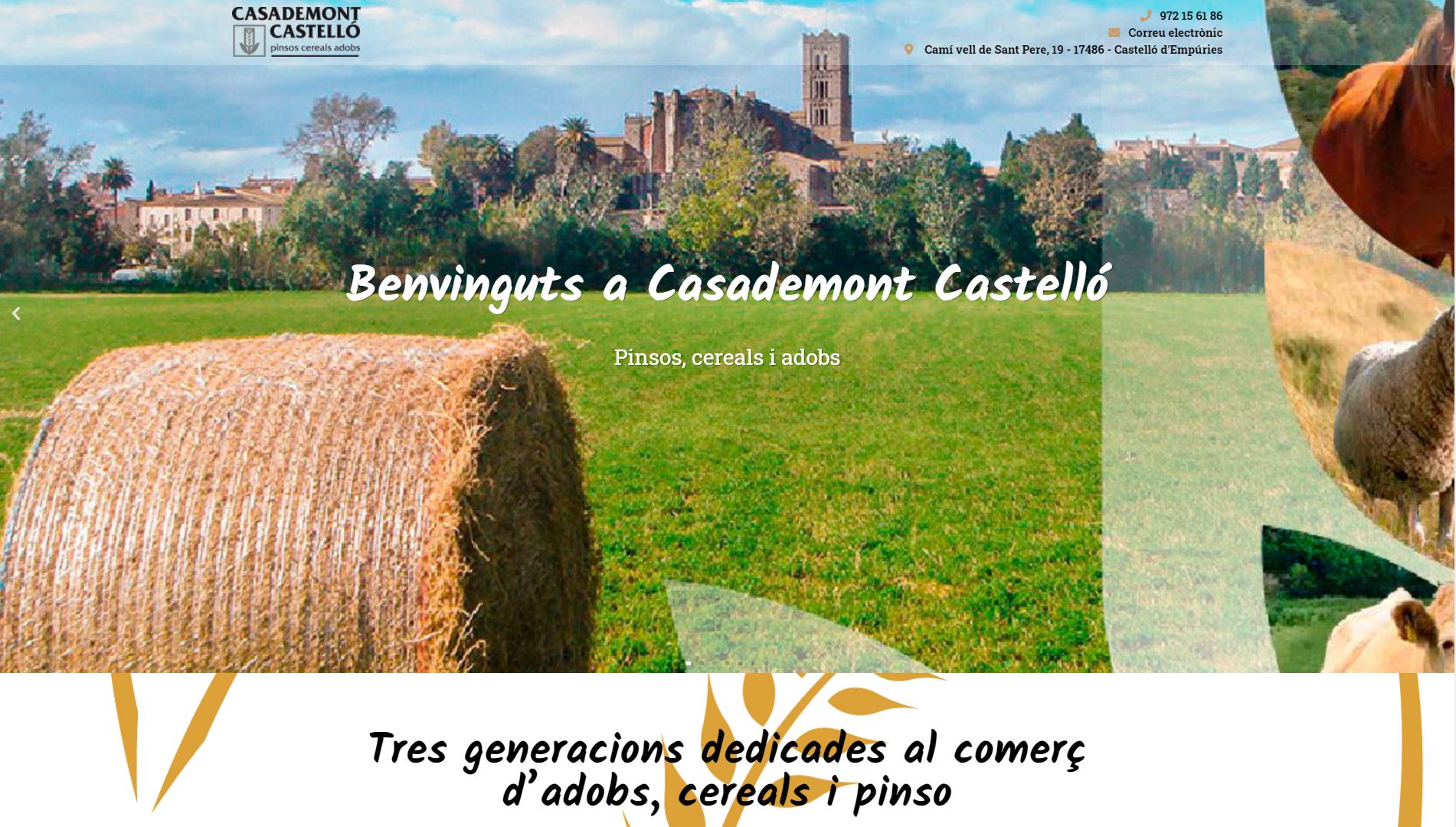 Captura home Casademont Castelló